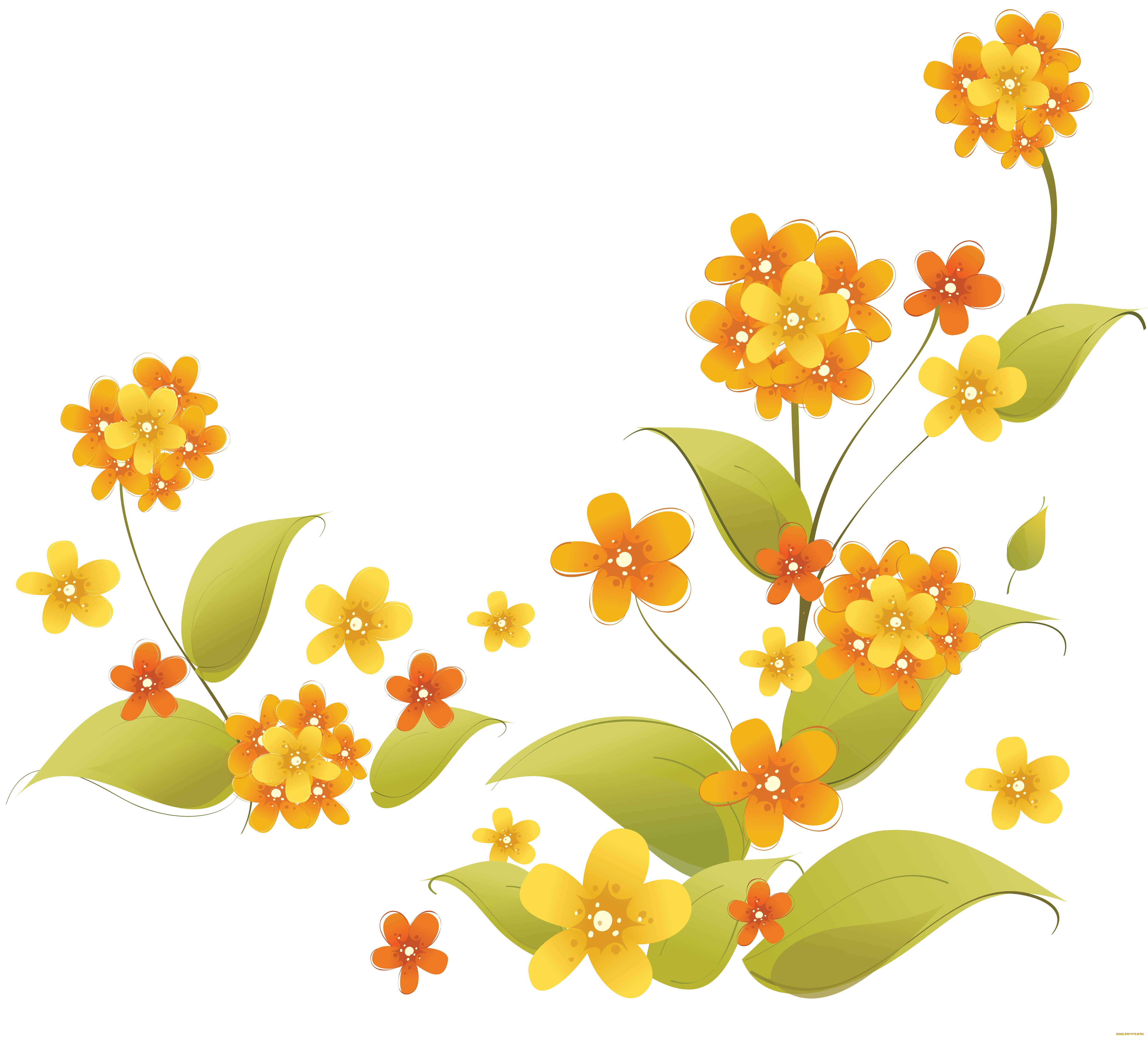  ,  , flowers, , , 